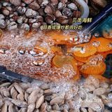 儋州海鲜｜海花岛周边的美味海鲜大餐🦞