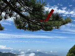 -陕西省红河谷森林公园