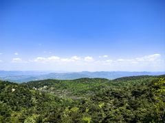 -鲁山国家森林公园