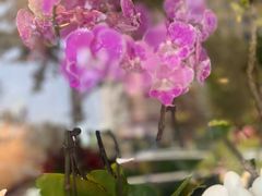 -MCJ-花店(西罗园店)