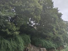 -泰州凤城河风景区-泰山公园