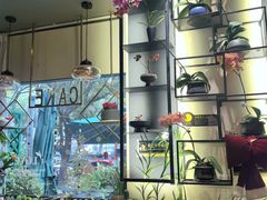 -街角 T·COFFEE 融合料理·BISTRO(车公庙店)