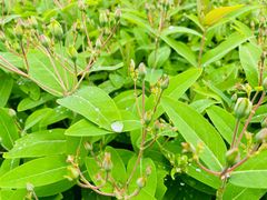 -杭州师范大学(下沙校区)