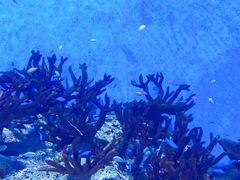 -楠舍烘焙(大学城店)