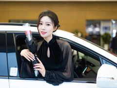 -河南威佳金凯汽车销售服务有限公司