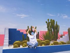 -漳州滨海火山岛自然生态风景区