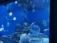 -海合安成都极地海洋公园