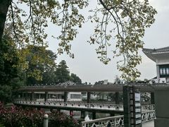 -荔湾湖公园