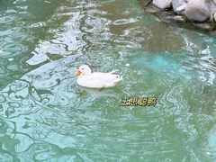 -北京野生动物园