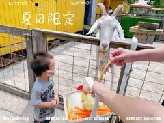 -前小桔亲子创意农场·草莓采摘·露营烧烤