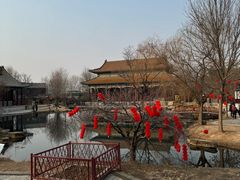-曹州牡丹园