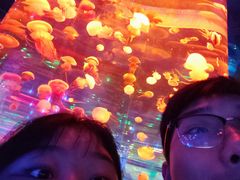 -石家庄海洋公园