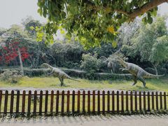 -自贡恐龙博物馆