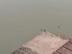 -南北湖风景区