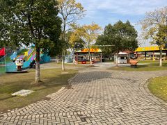 -上海海湾国家森林公园