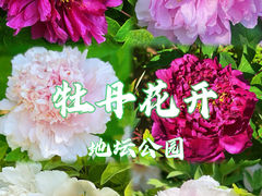 -地坛公园