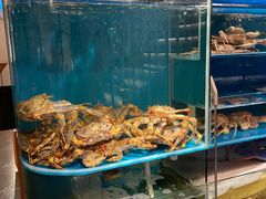 水产区-蟹田居·活蟹料理(东城店)