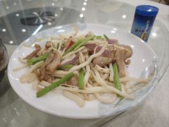 -姚林轩