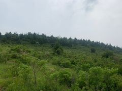 -北京凤凰岭