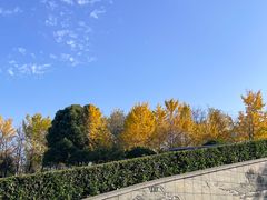 -月湖风景区