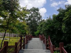 -广州白江湖森林公园