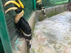 -海南热带野生动植物园