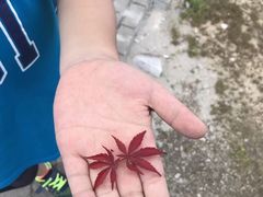 -军营村