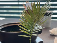 -南里山房(虹桥新天地店)