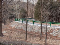 -白水寺森林公园