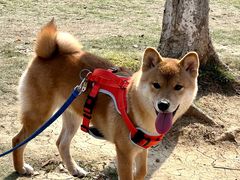 -钟山体育运动公园