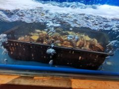 -芭菲盛宴·环球美食(北城国际店)