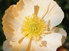 -名花谷生态庄园