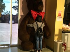 -济州岛泰迪熊博物馆