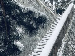 -颐和园