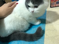 -芭比堂宠物医院·全科爱猫医院·仁德分院