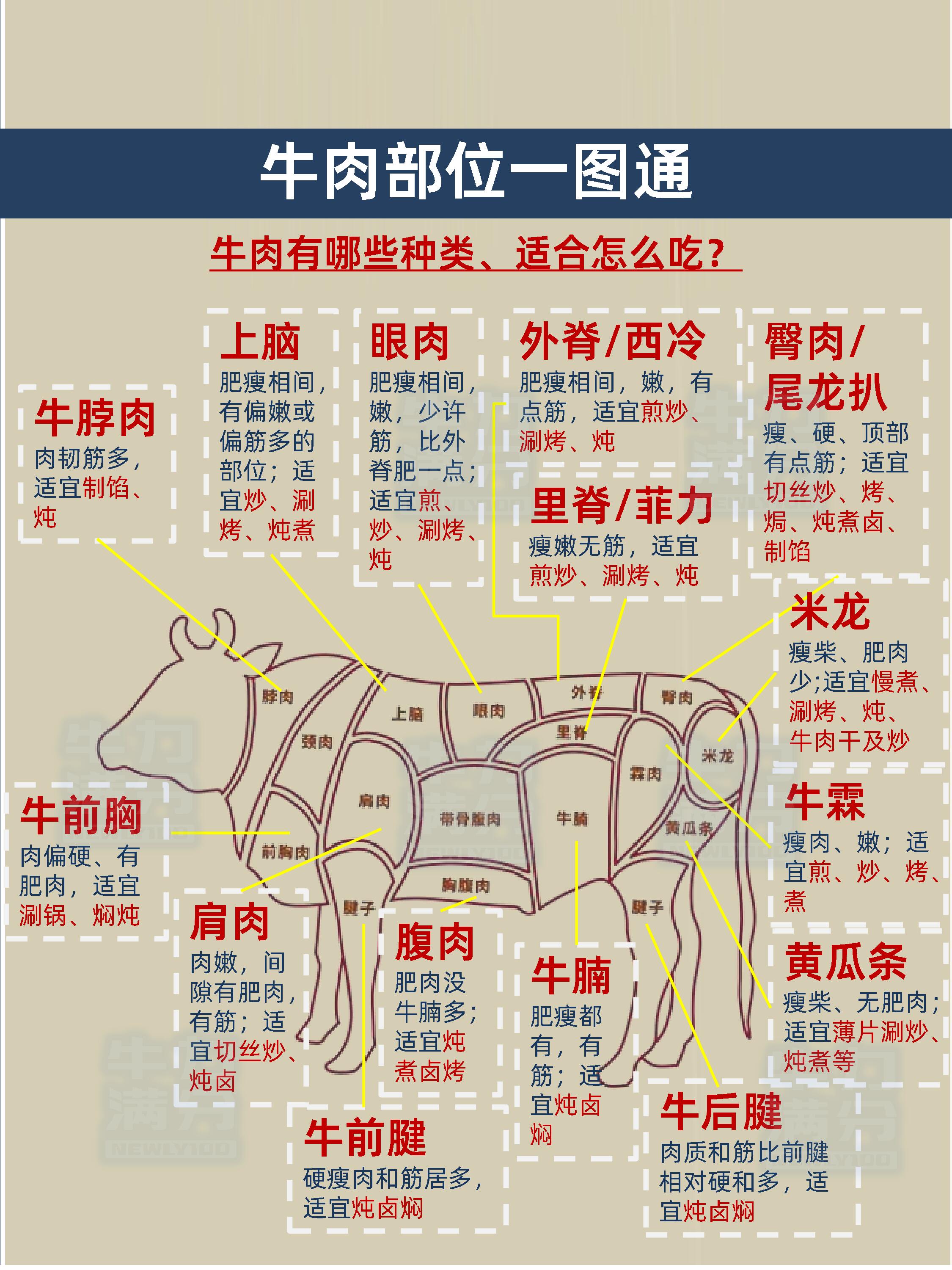 牛肉位置图解图片