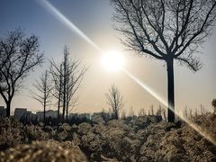 -汉长安城未央宫国家考古遗址公园