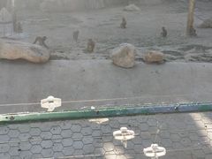 -大青山野生动物园