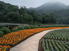 -广州市石门国家森林公园