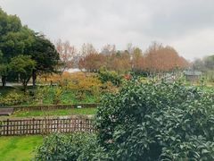 -潮府馆·非遗潮州菜·港式点心(世纪公园店)