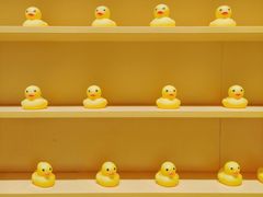 -RU DUCK柯尔鸭公社·撸鸭俱乐部·羊驼·小香猪