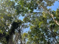 -中国科学院西双版纳热带植物园