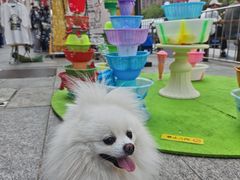 -鹏欣水游城