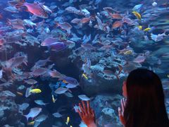 -成都浩海立方海洋公园