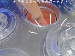 -野人牧坊Gelato(天津南开大悦城店)