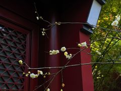 -钱王祠