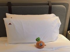 -新加坡瑞士史丹福酒店
