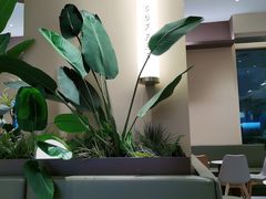 -奈雪的茶(正弘城PRO+店)