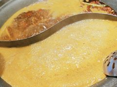 -生活如沸·顺德水牛奶火锅(大学路店)