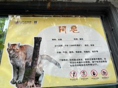 -重庆动物园·东二门售票处